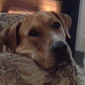 Meet your Posher, Jackie